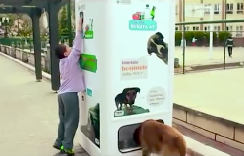 Genijalna ideja: automat za reciklažu koji hrani kuce i mace lutalice